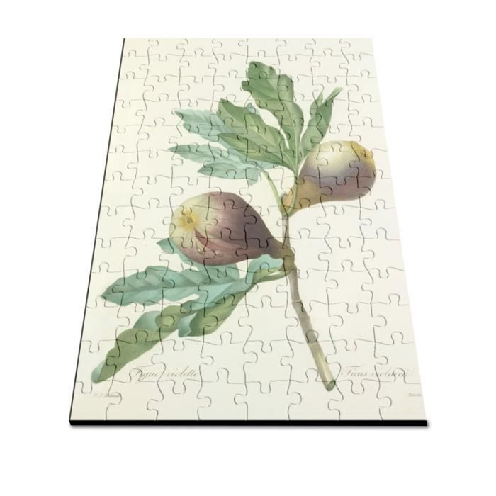 Puzzle Classique 100 pièces Hortensia Planche Illustration Botanique  Ancienne Fleurs - Cdiscount Jeux - Jouets