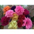 DE MARKT Papier crépon Papier coloré Papier Cadeau Bouquet pour l'emballage de Bricolage de Bouquets de fleuristes 50 * 250cm Rose-3