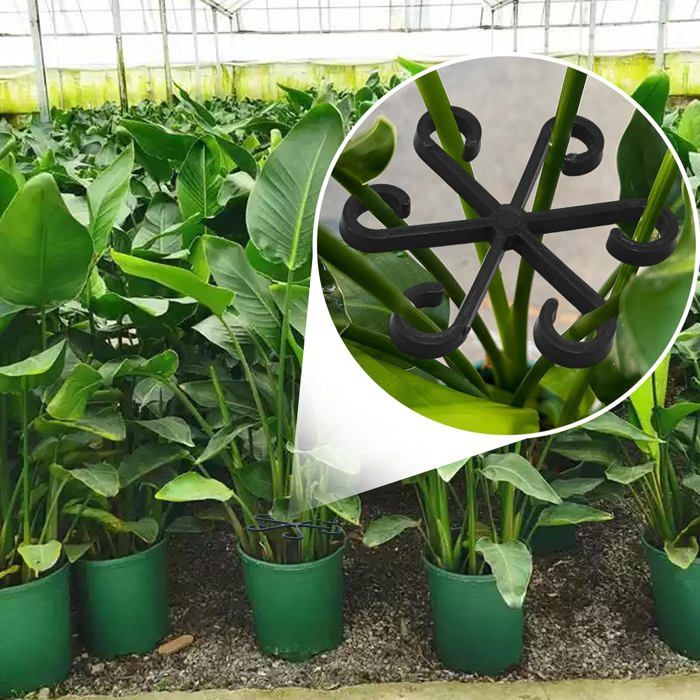 Lot 100 Pièces Tuteurs Pour Plantes – 20 Supports + 30 Clips + 10 Tubes Extension – Idéal Orchidees, Roses, Fleurs Fragiles