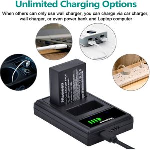 Chargeur USB Pour Batterie Sony - Compatible DCR-IP55E, DSC-F505, DCR-IP5 - Tension 4.2V - Câble Micro USB Inclus
