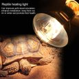 UVA UVB Lampe de chauffage pour reptiles Ampoule pour tortue lézard Terrarium Serpent (80W)-0