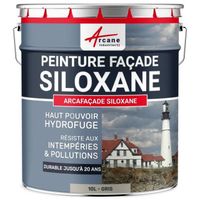 Peinture Facade Siloxane Hydrofuge - ARCAFACADE SILOXANE  Gris (Ral 7044) - 10L (+ ou - 60m² en 1 couche)