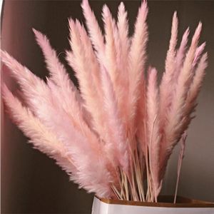 30Pcs Rose 1 PCS heDIANz Herbe S/éch/ée Reed Pampas Photographie Props Accueil D/écor De Mariage 1
