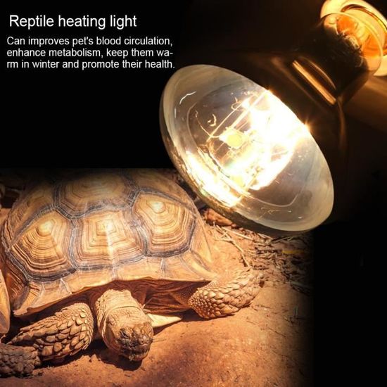 UVA UVB Lampe de chauffage pour reptiles Ampoule pour tortue lézard Terrarium Serpent (80W)