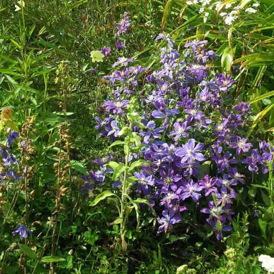 Moustiquaire Porte Magnétique, 135 X 180 Cm Moustiquaire