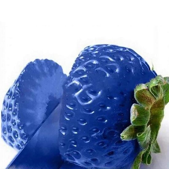 100pcs graines de fraise multicolores -Bleu