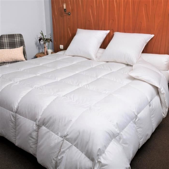 Couette Hiver oie 260x240 cm 90% duvet neuf