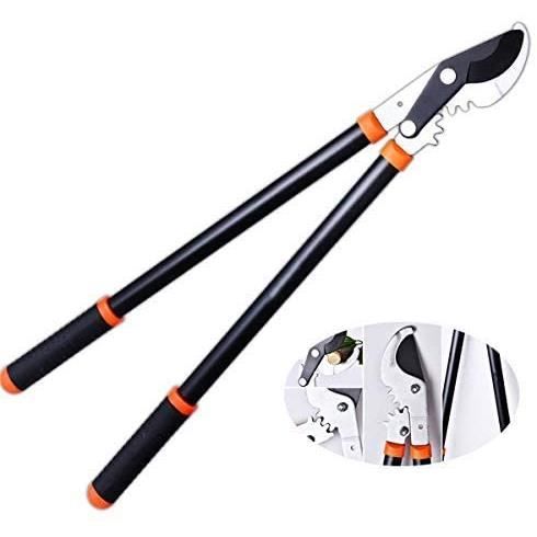 CISAILLE A GAZON CoupeBranches agrave Enclume denviron 80 cm avec Cisaillement du systegraveme de Coupe Gear Drive1642