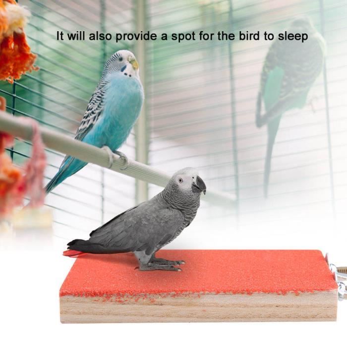 Fdit perche d'oiseau pour Cage Oiseau perche support plate-forme jouet terrain de jeu meulage de patte pour animal de compagnie