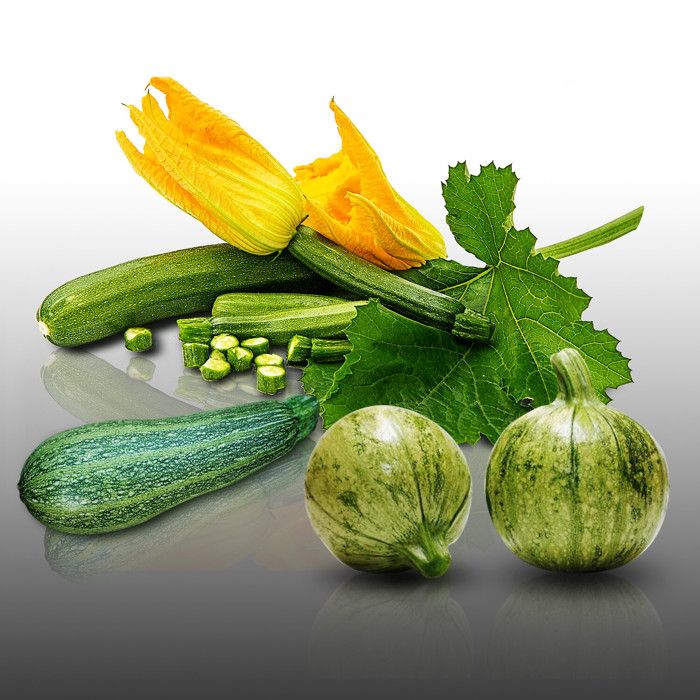 Graines Potagères CACAHUETE ARACHIDE GAROY - Graineterie A