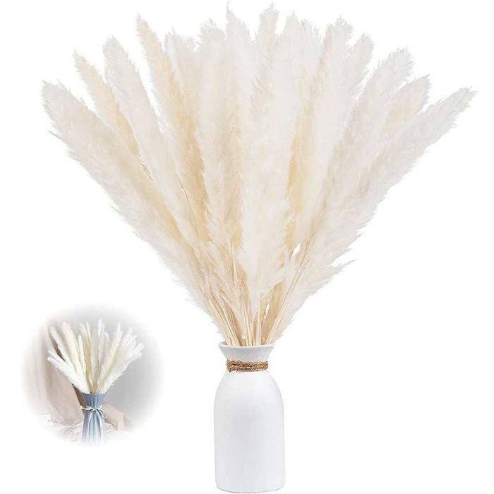 Herbes De La Pampa Séchées - Lot De 50 Tiges - 45 Cm - Blanc Naturel - Décoration Bohème