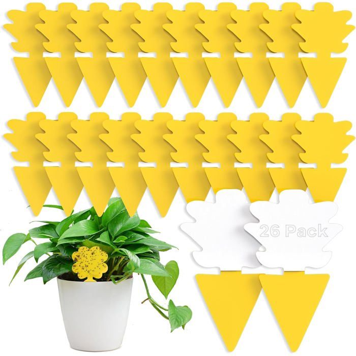 26 pcs Jaunes Autocollants Anti-Moucherons-Autocollant Jaune Anti Mouche et moucheron- Non-Toxique Effica -pour Plantes dIntérieu