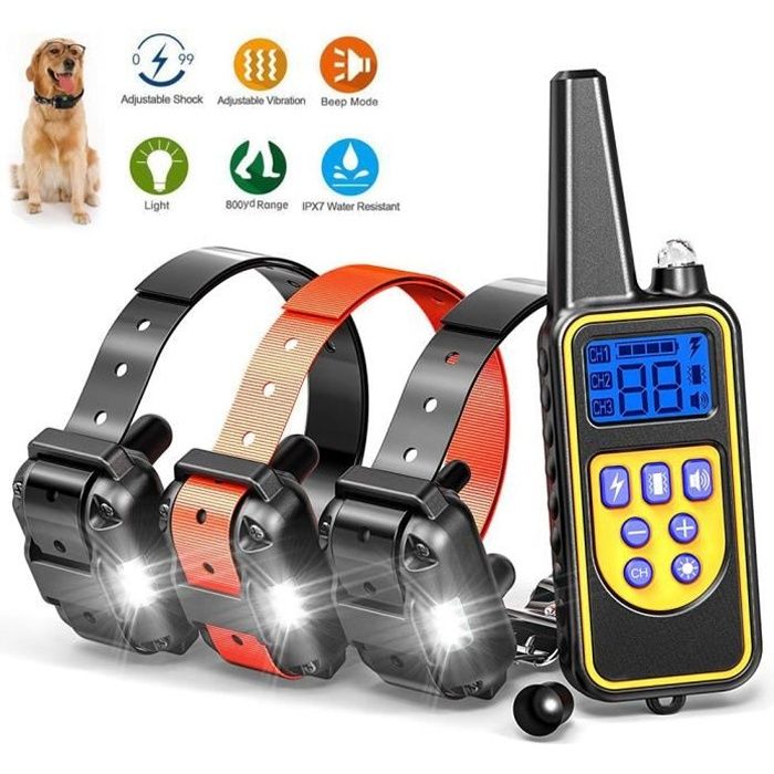 Collier de Dressage étanche rechargeable pour Deux Chiens - Collier ...