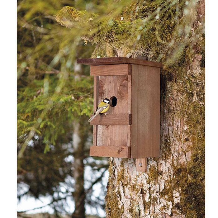 Comparer les prix de Nichoir à oiseaux en bois massif verni