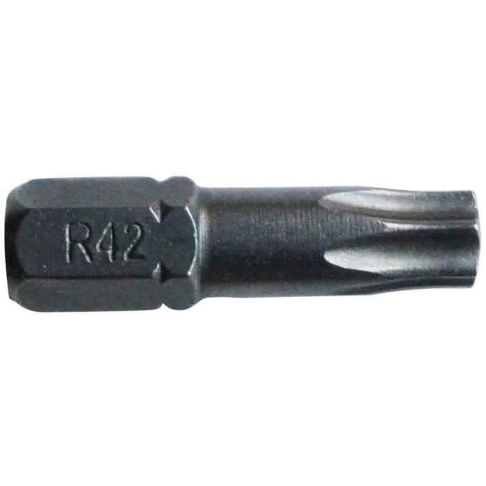 RISS Embout empreinte forgée Torx T25