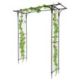 Arche de jardin 206 x 40,5 x 208 cm Support pour plantes grimpantes ,Arc Décoration Mariage Fête Anniversaire-1
