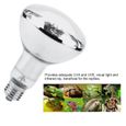 UVA UVB Lampe de chauffage pour reptiles Ampoule pour tortue lézard Terrarium Serpent (80W)-1