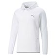 Sweatshirt à capuche Puma Evostripe - blanc - S-0