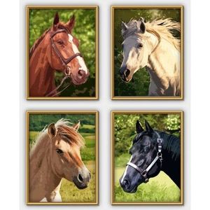 Peinture Au Numero Cheval Achat Vente Pas Cher