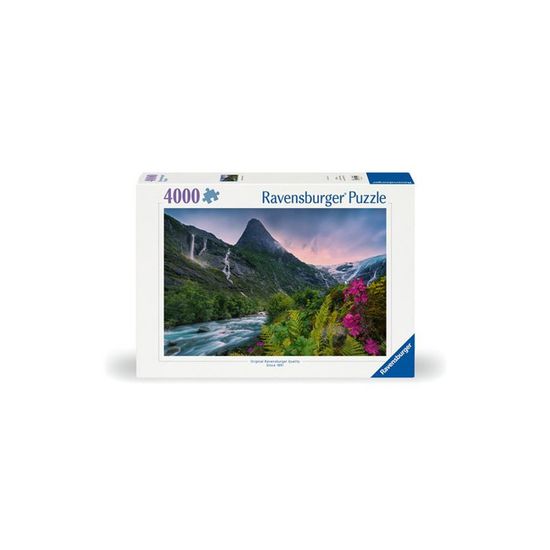 Castorland Underwater Life Puzzle (4000 pièces