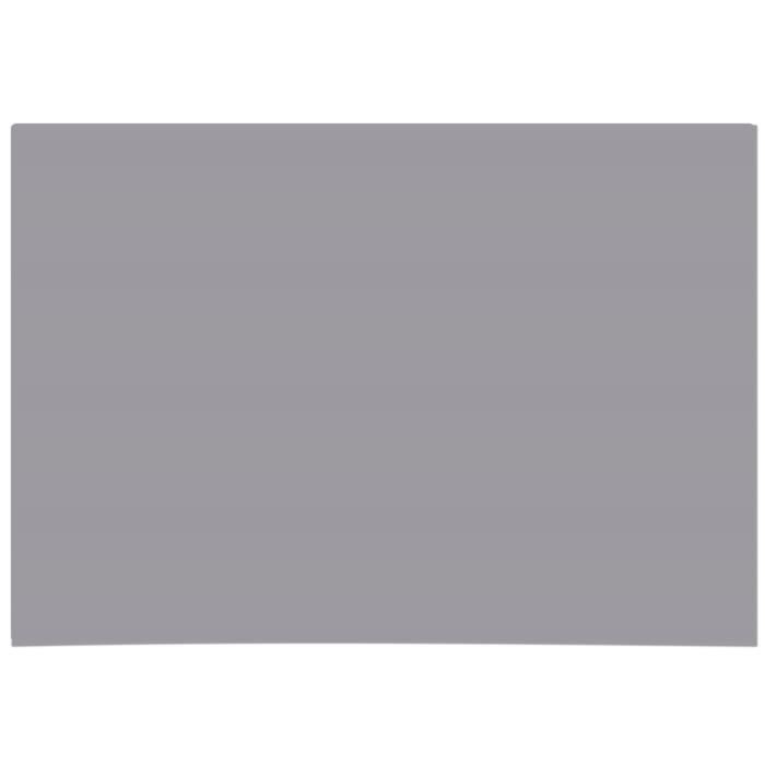 Panorama Tapis Vinyle Gamelle Gris pour Animaux 40x60 cm - Tapis Vinyle d'Alimentation et d'Abreuvoir pour Chien