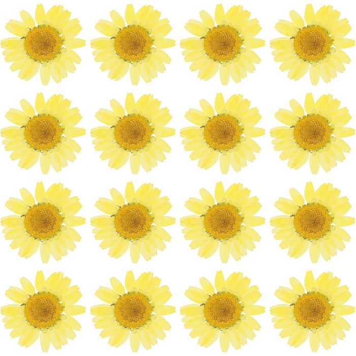 Fleurs Pressées Séchées Rouges Naturelles, Pour Décoration Florale, Art, Scrapbooking, Bougies