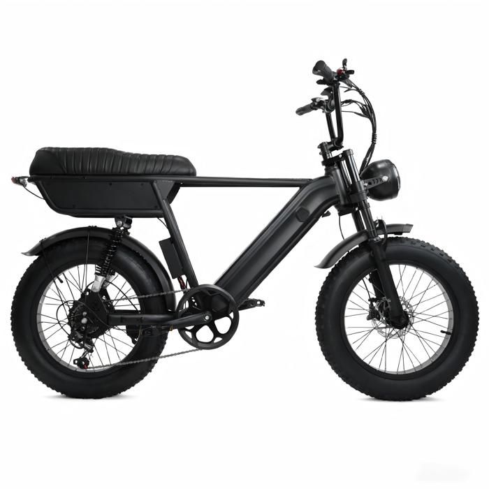 Vélo électrique Y20 Plus moteur 48 V 250 W batterie 48 V 15 Ah autonomie 78 km pneus Fat 20 x 4 0 noir