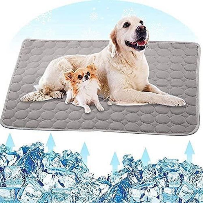 Tapis Rafraichissant Chien Automatique - 50x40CM Tissu De Soie De Glace Non Toxique, Lavable à La Main,Panier Chien, Gris