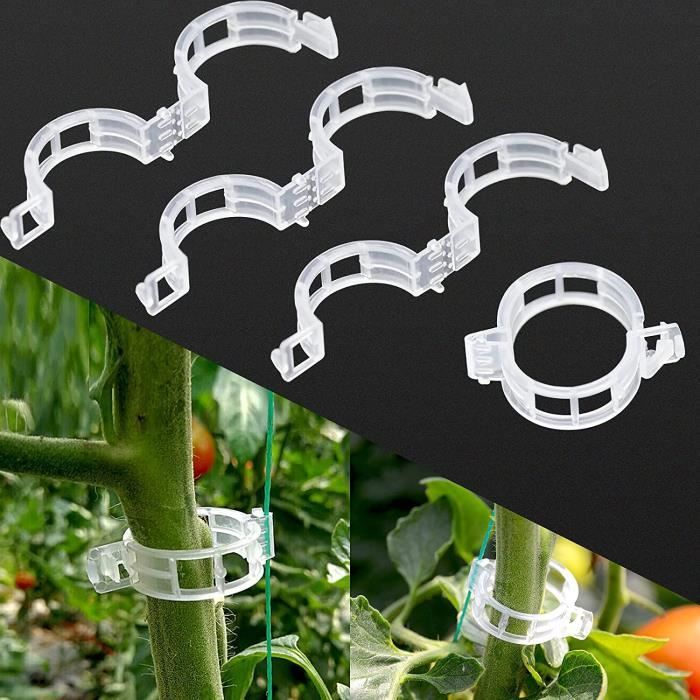 Support Pour Plantes 200 Pièces Jardin Plantes Clips Tuteur Tomate Accroche Tomates Clips De