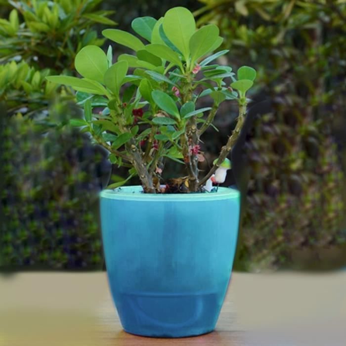 Pot De Fleur Pots De Fleurs Paresseux Automatique Hydroponique Plantes En Absorbant L Eau Circulaire Resine De En Plastique Double Achat Vente Jardiniere Bac A Fleur Pot De Fleur Pots