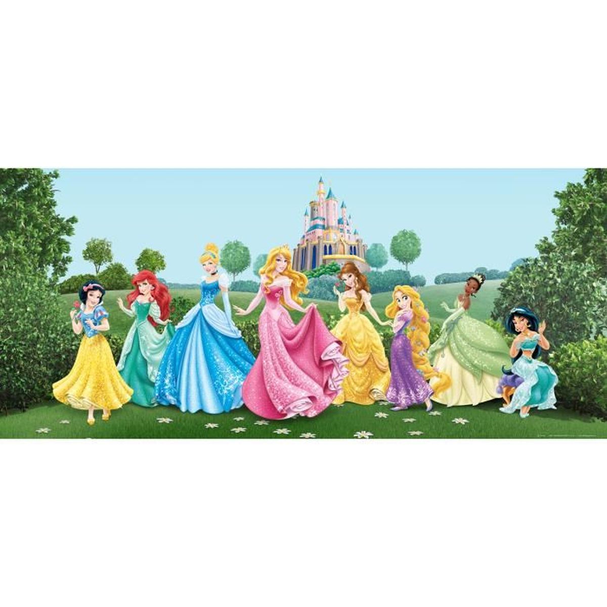 Fonds D Ecran Photos Disney Princess Horizontal 1 Partie 202 X 90 Cm Photo Non Tisse Multicolore Ag Design Achat Vente Objet Decoration Murale Cdiscount