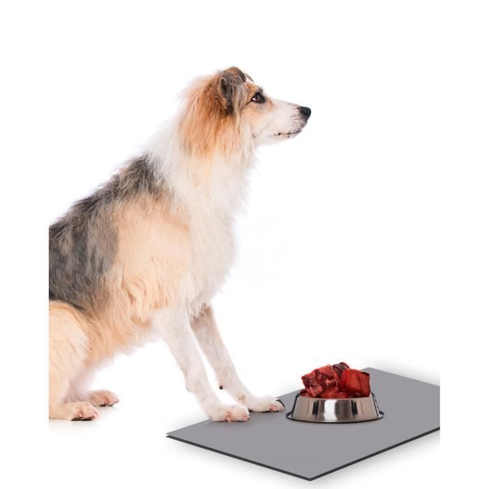 BOHHO Tapis anti-fuite pour chien en silicone pour chat - Gamelle à  nourriture multifonction - Anti-étouffement - Anti-renversement