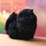 peluche chaton mignon