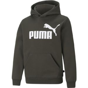 pull puma kaki