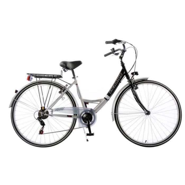 Vélo Ficarius trekking - Argent et Noir