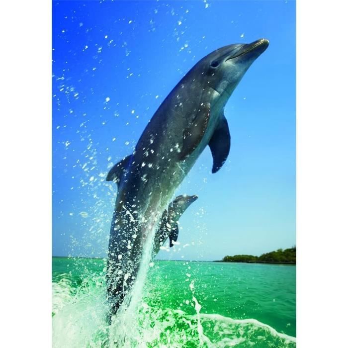 Puzzle 500 pièces - DINO - Dauphins - Niveau facile - Mixte