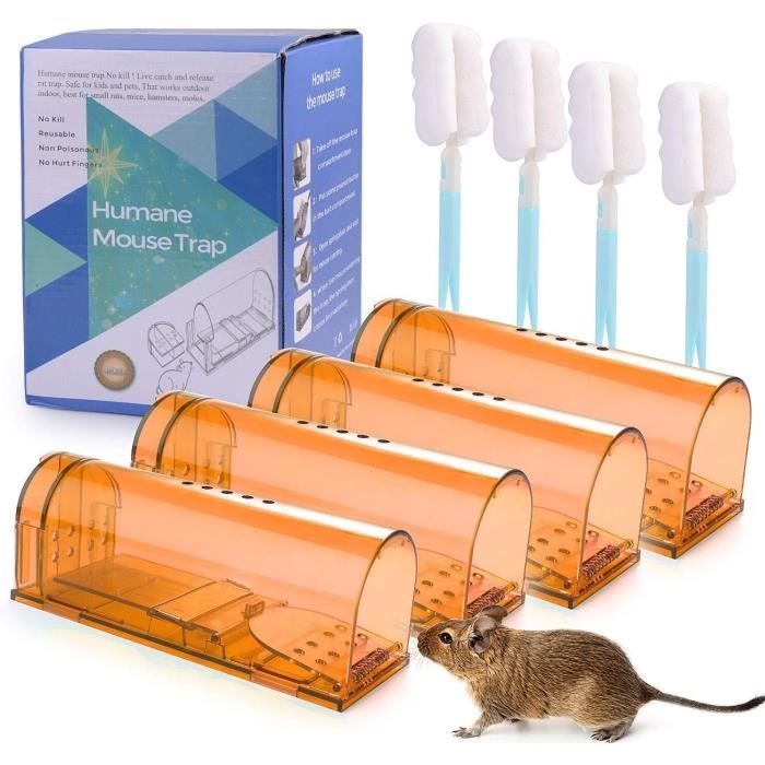2 Pièges à Souris Vivants Réutilisables - Humains, Sensibles, Pour Intérieur/extérieur (cuisine, Jardin)