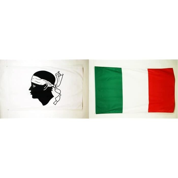 Lot De 100 Drapeaux à Main Corse 14x21cm - Petits Drapeaux Polyester Pour Événements Et Décoration