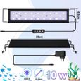Hengda 10W Aquarium LED avec minuterie éclairage coquillages, 30-50cm-1