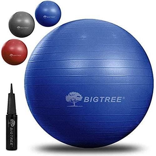 Ballon Fitness, 55cm-65cm-75cm de Gymnastique Balle, Yoga Pilates Core Training,de Yoga avec Pompe Bleu
