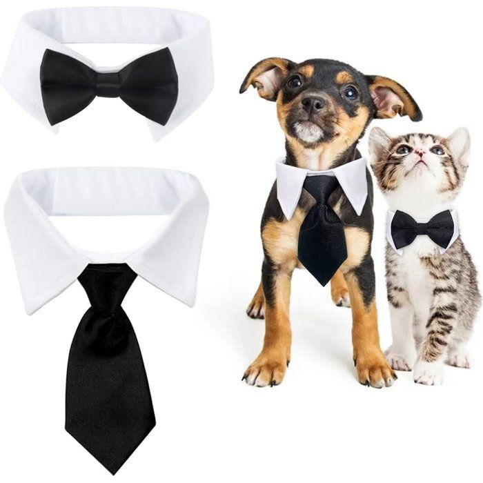 Ensemble déguisement animalier S Cravate et nœud papillon de luxe pour animaux Convient aux teckels et border collies