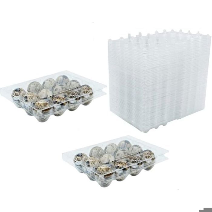Lot de 50 boîtes à œufs de caille en PVC transparent réutilisable avec couvercle pour œufs de caille réfrigérateur