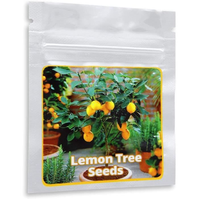 Jardinage Graines de Mini citronnier - 10 pcs - sac - cultivable comme bonsaï ou arbre 91822