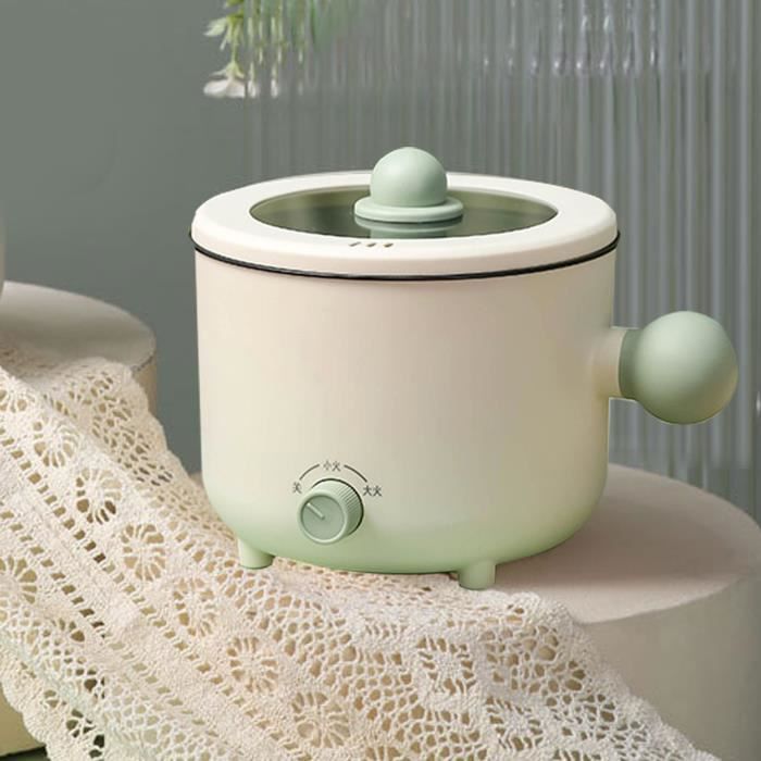 Cuiseur Électrique à Décoction - Pot Médecine Chinoise 4-6L - Acier Inox 304 - Contrôle Température - Protection Surchauffe