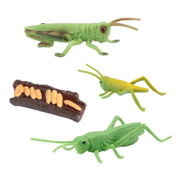 Jouet Cycle De Vie Insectes – Lot 3 Modèles (Papillon, Mite, Grenouille) – 13 Étapes Réalistes – Apprentissage Éducatif Dès 3 Ans – Plastique ABS