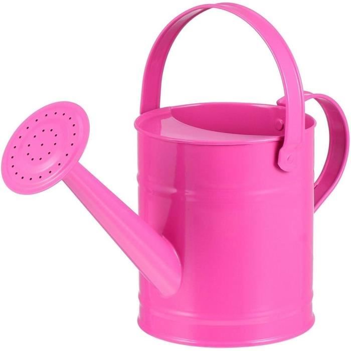Arrosoir Jardin 5,5 Litres (1,5 Gallon) Avec Pommeau Métal Amovible - Long Bec - Poignées Ergonomiques - Bleu
