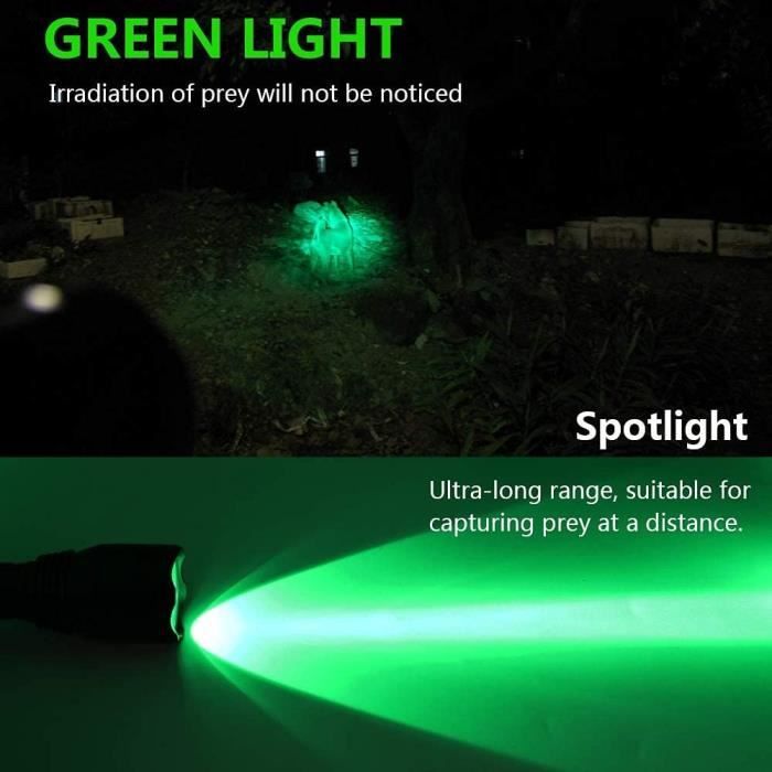 DARKBEA Lape de poche UV 365 n, luière noire, lapes de poche LED