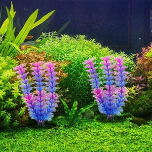 Lot 100 Plantes Aquarium – 13 Variétés à Racines/tiges + 3 Clado Gratuites – Pour Aquarium 80-100L