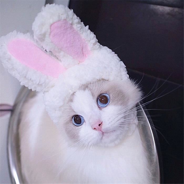 Costume - ensemble,Déguisement de pâques mignon et amusant,chapeau de lapin  avec oreilles pour chats et petits chiens- WHITE[F4718] - Cdiscount