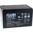 FIAMM Batterie au plomb rechargeable FG21202 Vds 12V 12Ah-144Wh Lead-Acid Noir-0
